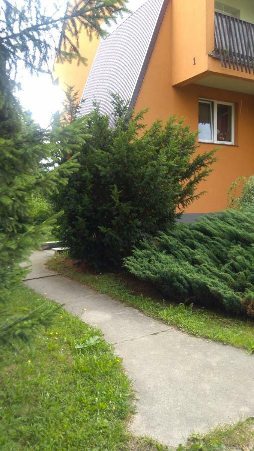 Apartament U Janusza Нови Тарг Екстериор снимка